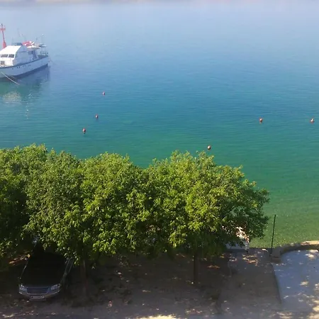 Delfin Отель типа 
